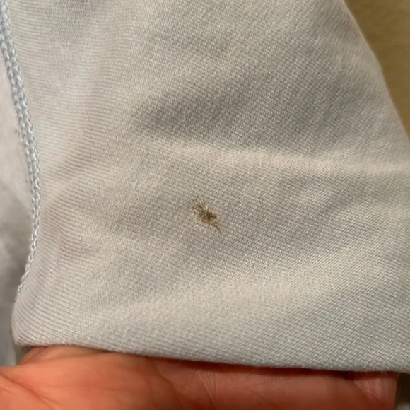 Twisted Heart woman's light blue hooded with a jeweled emblem on the back - Picture 12 of 16